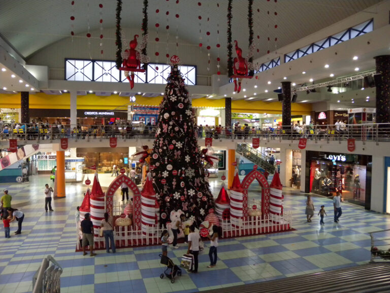 CÁMARASAL impulsa el comercio en la temporada navideña y de fin de año