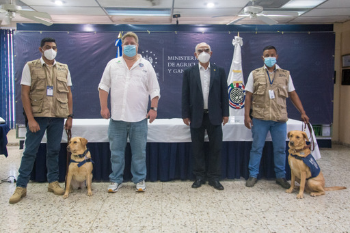 MAG y OIRSA firman convenio de binomios caninos para apoyo en Aeropuerto Internacional