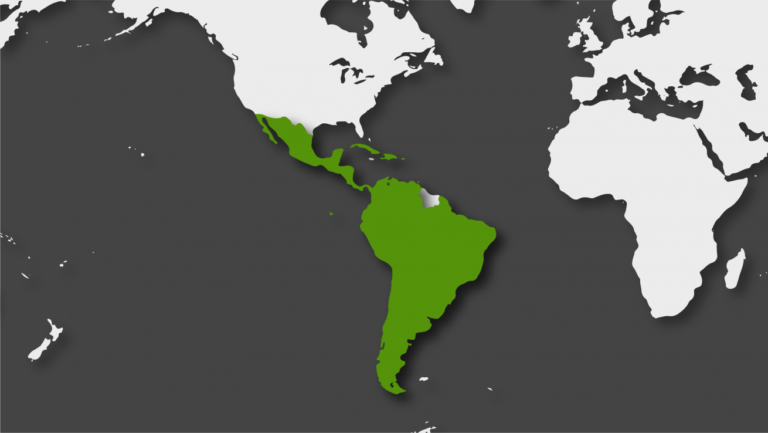 La ONU advierte que la pandemia podría causar una gran crisis de deuda soberana en América Latina