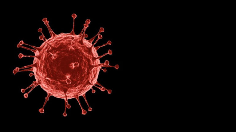 Descubren una nueva cepa de coronavirus en Túnez