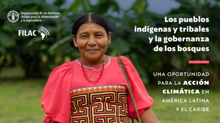 Pueblos indígenas son los mejores guardianes de los bosques de América Latina y el Caribe
