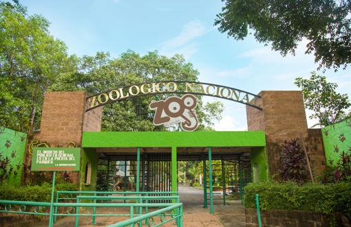 Parque Zoológico Nacional abierto al público el fin de semana