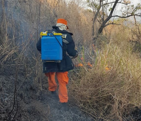 Provocan grave incendio en el Cerro Tecana de Santa Ana
