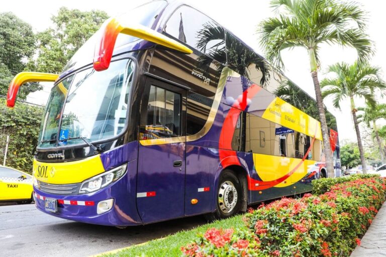 Lanzan flota de autobuses para aumentar flujo de turistas al país