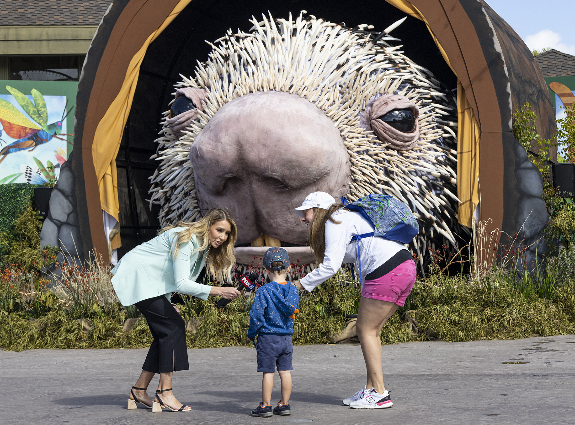 Percy, la marioneta puercoespín, hace su debut en el zoológico de San Diego