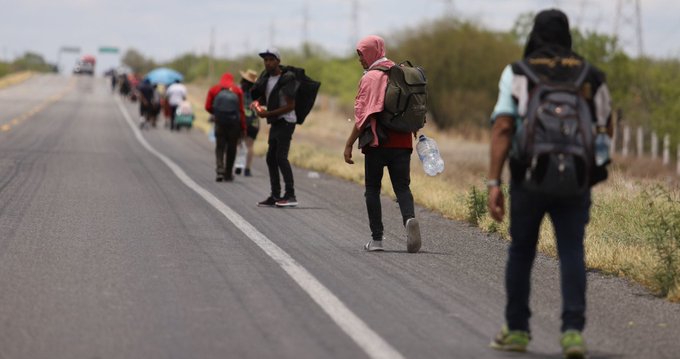 Casi 500 migrantes han muerto intentando llegar a EEUU en el transcurso del 2022 según la OIM