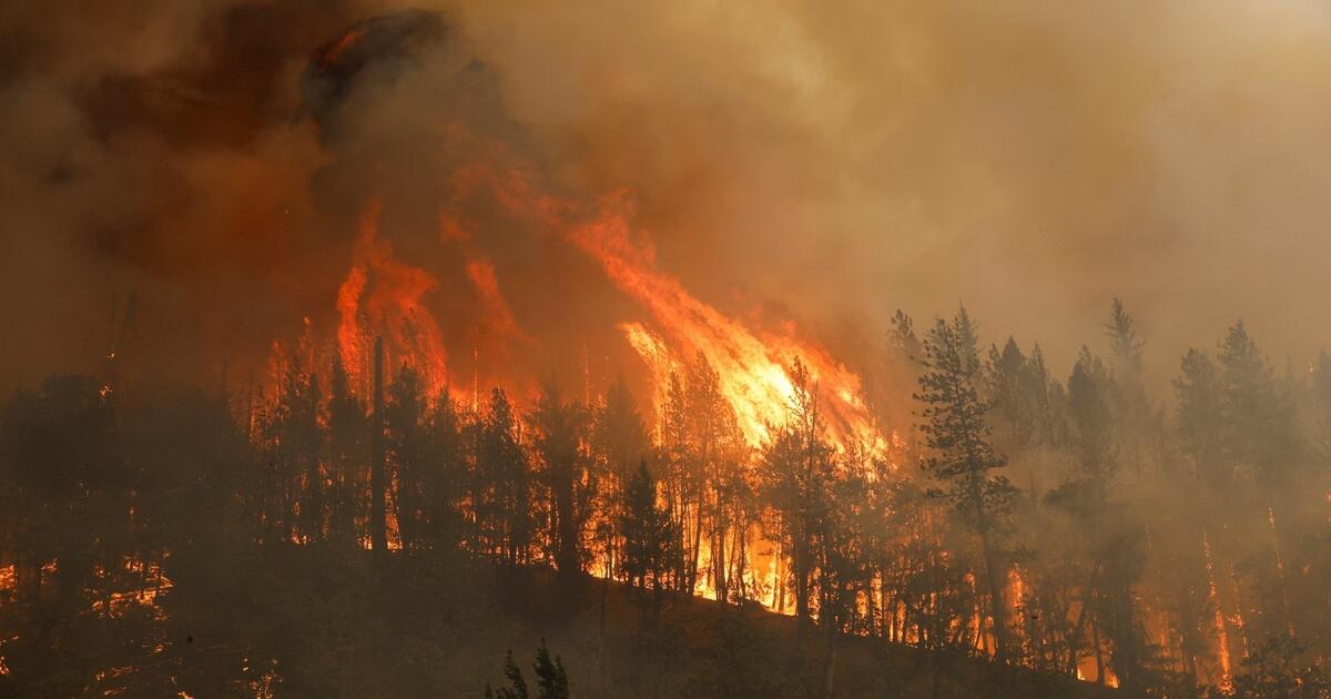 Incendio forestal en el norte de California deja dos muertos tras arrasar más de 22 mil hectáreas