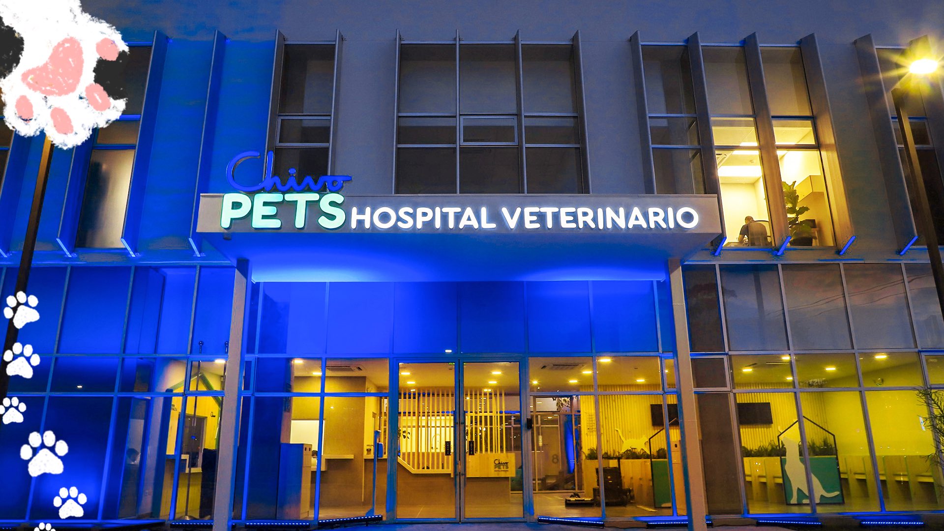 El Hospital Chivo Pets suma alrededor de 230 mil atenciones a mascotas desde su inauguración