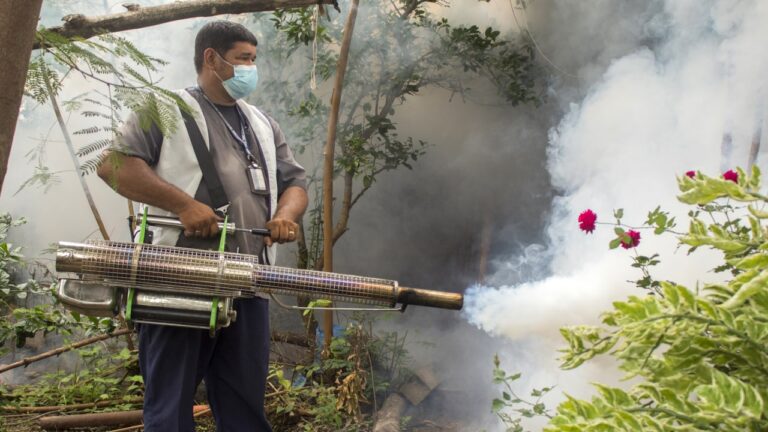 El Salvador registra un 84 % menos de casos de dengue grave que en el 2019 